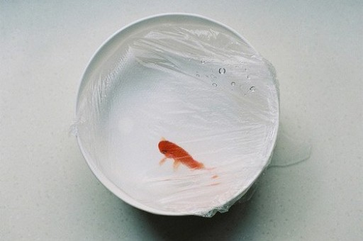 哈里斯高调复出“炮轰”特朗普：现代总统史上最严重的人为经济危机