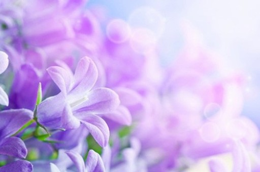 美国4月制造业活动进一步萎缩，因关税不确定性加剧