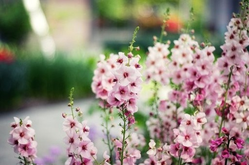 印度股市上涨0.6% 追随美股涨势