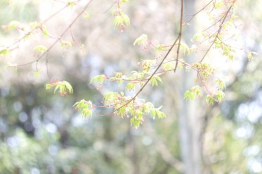花旗：阿里加入即时电商鏖战令竞争更白热化，关注拼多多会否加入战局