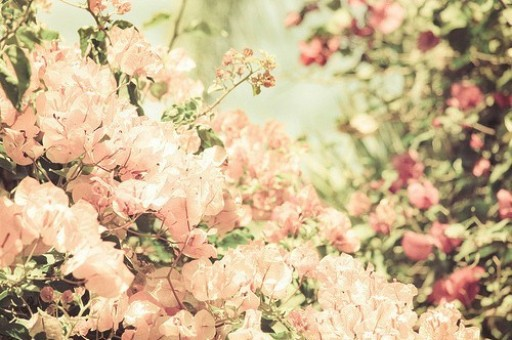 月薪3万文科友好，“AI训练师”真有那么赚？