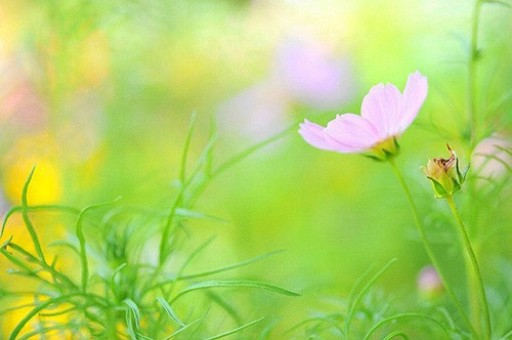 巴菲特：光去教育这个世界该怎么做事情 是没办法走长远的